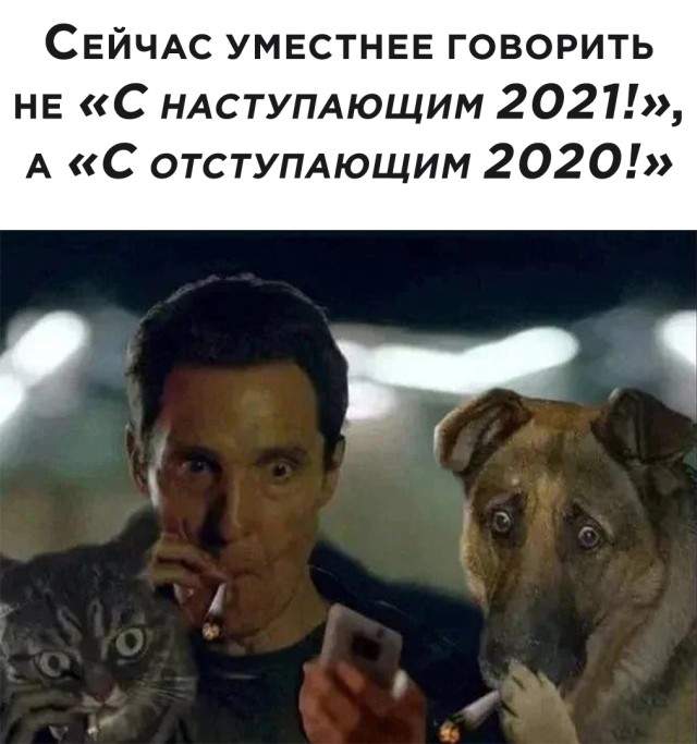 Смешные картинки вечер 30 декабря 2020