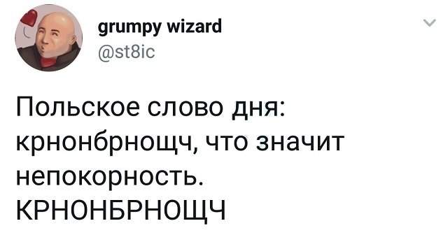 твит про слово дня