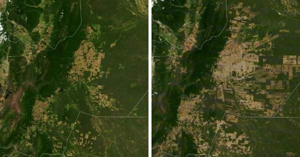 Исчезновение лесов в регионе Гран-Чако, Южная Америка