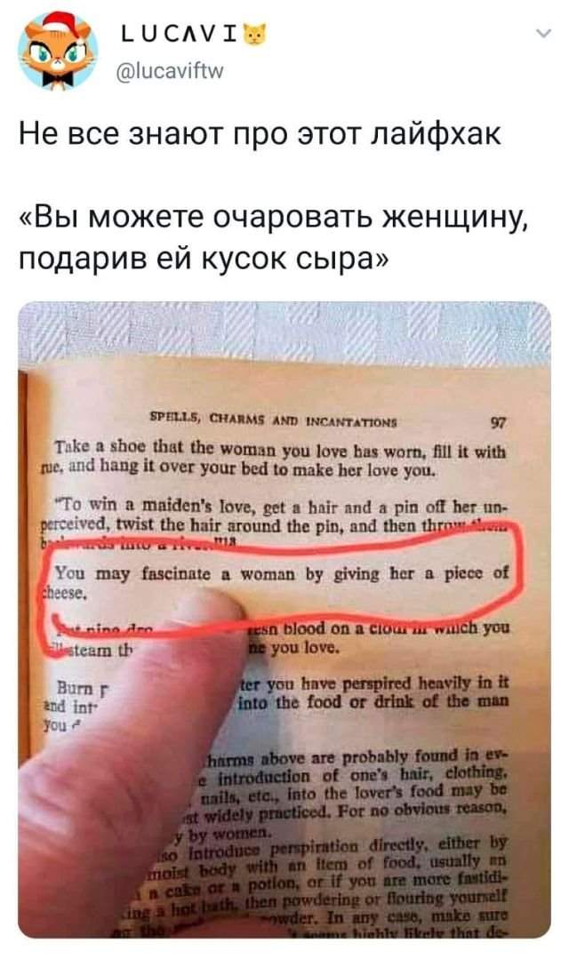 твит про сыр твит про сыр