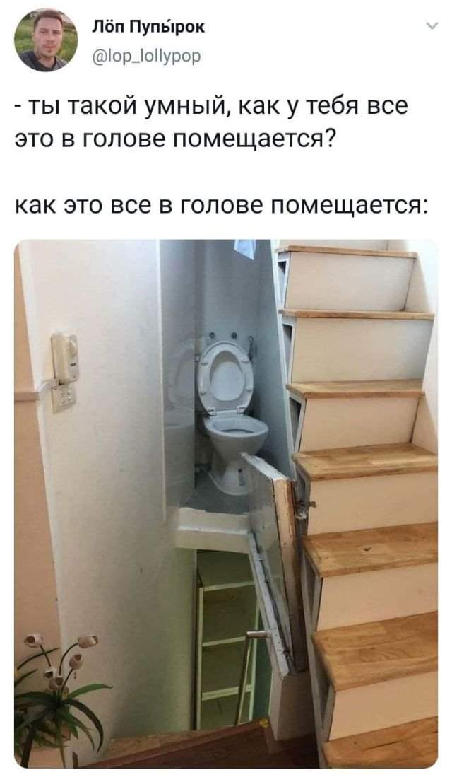 твит про голову твит про голову