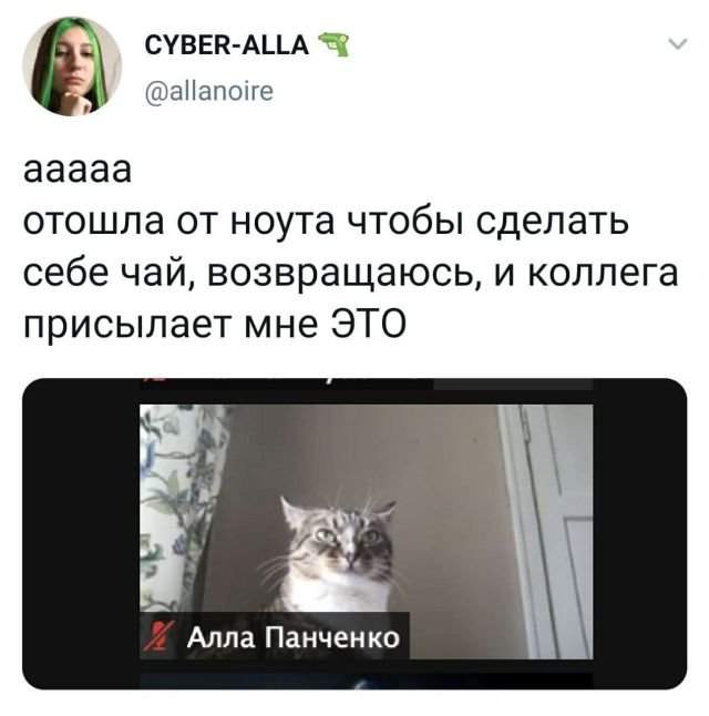 твит про ноут твит про ноут