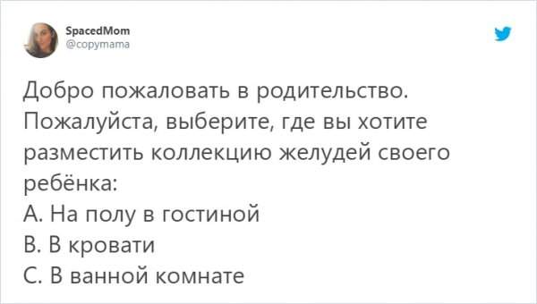 твит про желуди