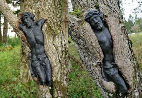 Скульптура Иисуса на заброшенном кладбище в Польше медленно поглощается деревом