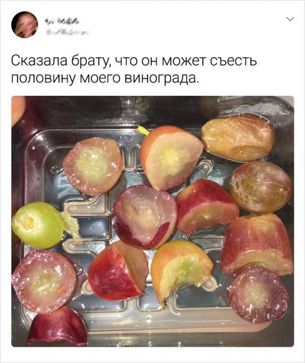 твит про виноград