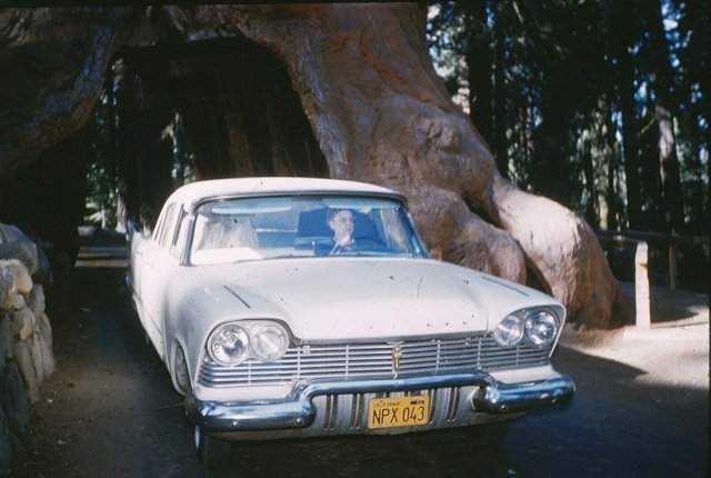В путешествии по Калифорнии на новеньком 1957 Plymouth.