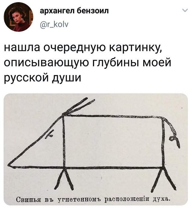 твит про свинью