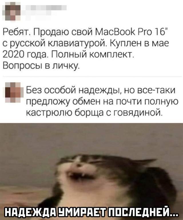 Смешные картинки вечерний выпуск 22 января 2021