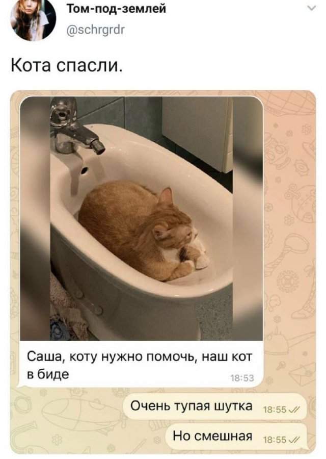 Лучшие шутки и мемы из Сети