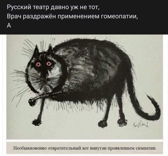 стих про кота