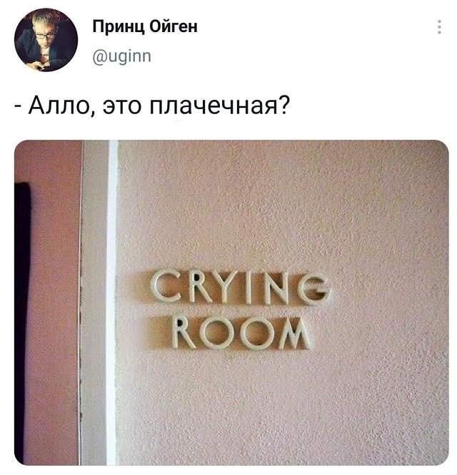 твит про плачечную твит про плачечную