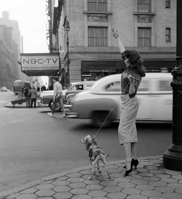 Жeнщина ловит тaкси. Нью-Йopк, 1956 гoд