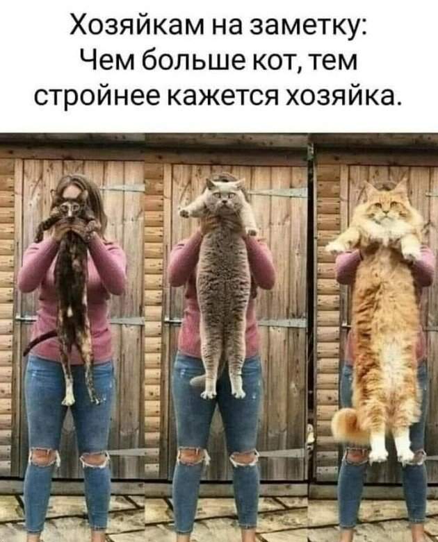 Странные и смешные лайфхаки