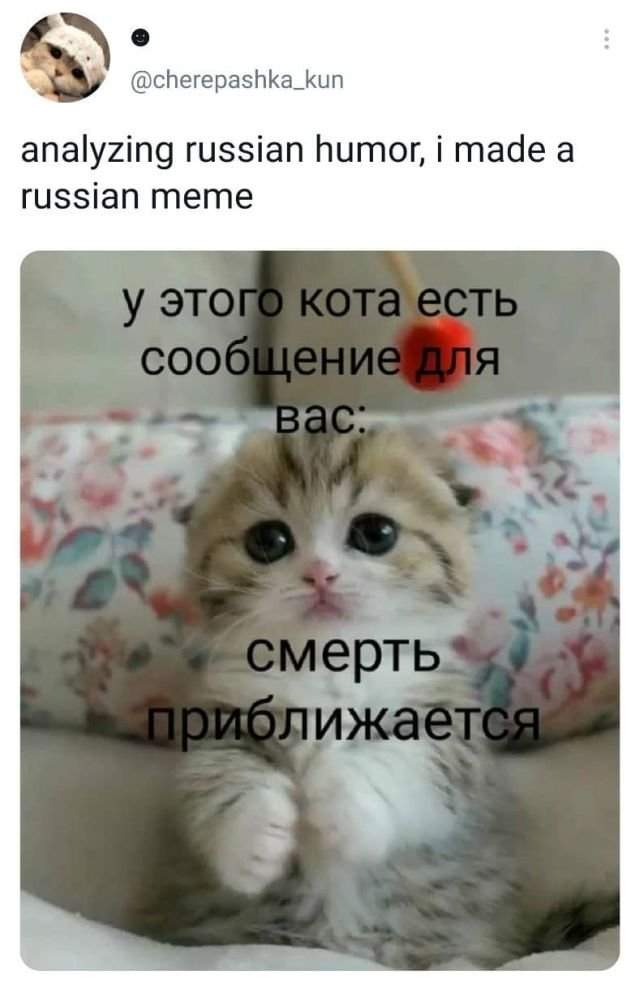 твит про смерть