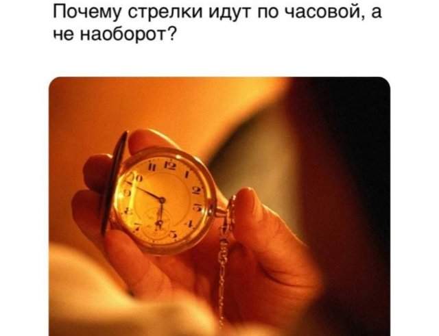 Философские вопросы от пользователей, требующие ответа