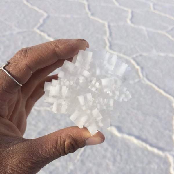 Кристалл соли, который можно найти в солончаке Салар де Уюни, Боливия