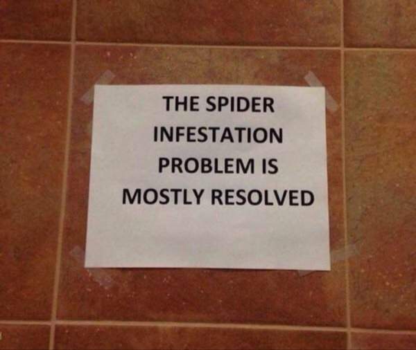 Проблема с нашествием пауков почти решена