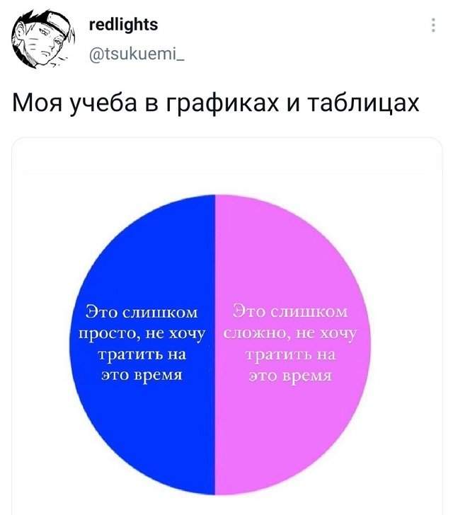 твит про учебу