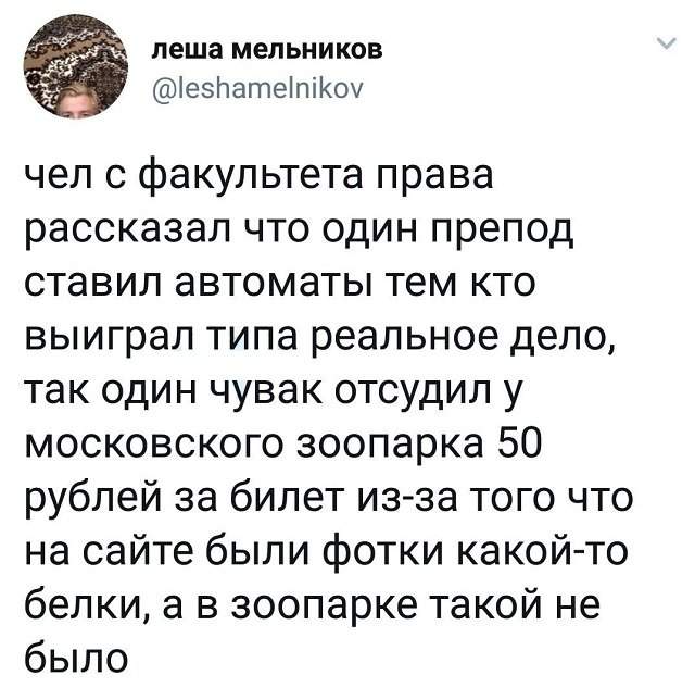 твит про факультет твит про факультет