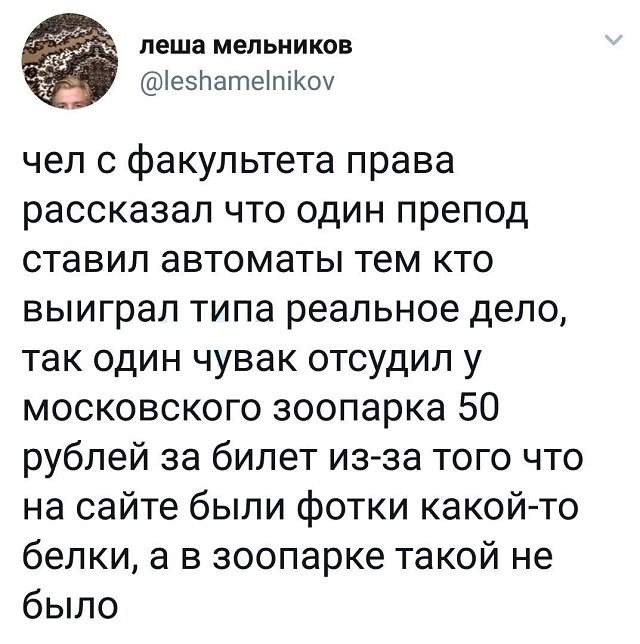 твит про факультет