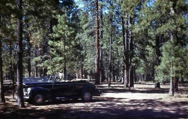 Отдых во время поездки в Большой каньон, Аризона. 1947 год.