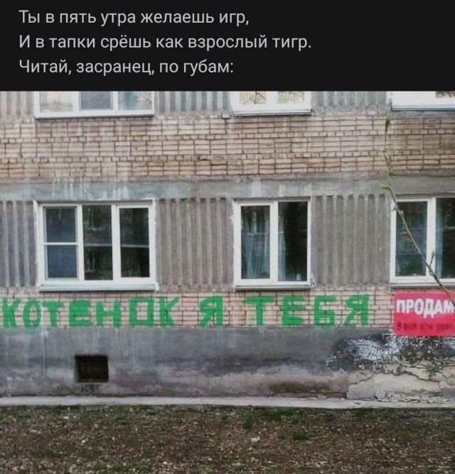 стих про котенка