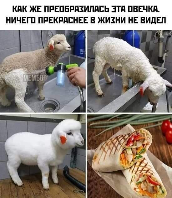 Немного странного и черного юмора