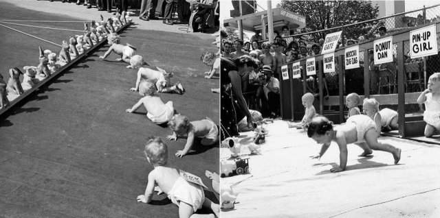 Забеги младенцев. Популярные спортивные состязания в Нью-Джерси с 1946 по 1955 год.