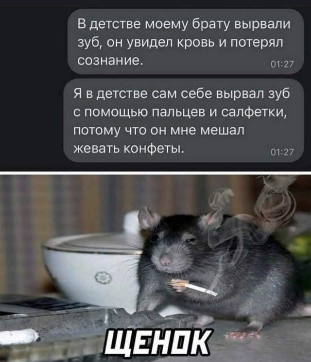 Лучшие шутки и мемы из Сети