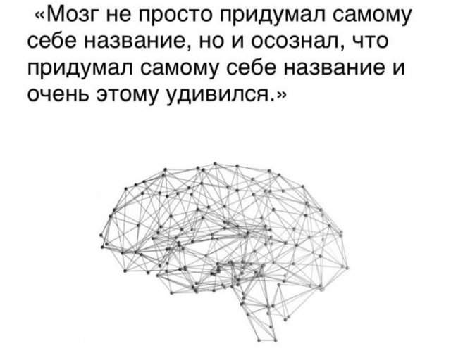 Философские рассуждения пользователей Сети