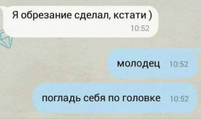 Лучшие шутки и мемы из Сети