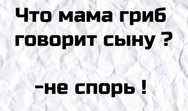 Шутки из рубрики &quot;на грани&quot; от пользователей Сети