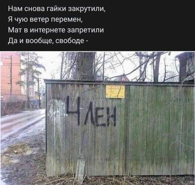 стих про член