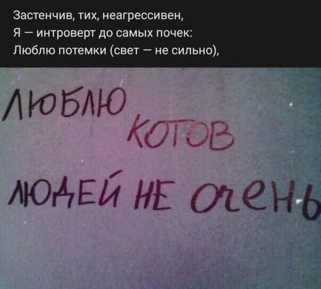 стих про котов