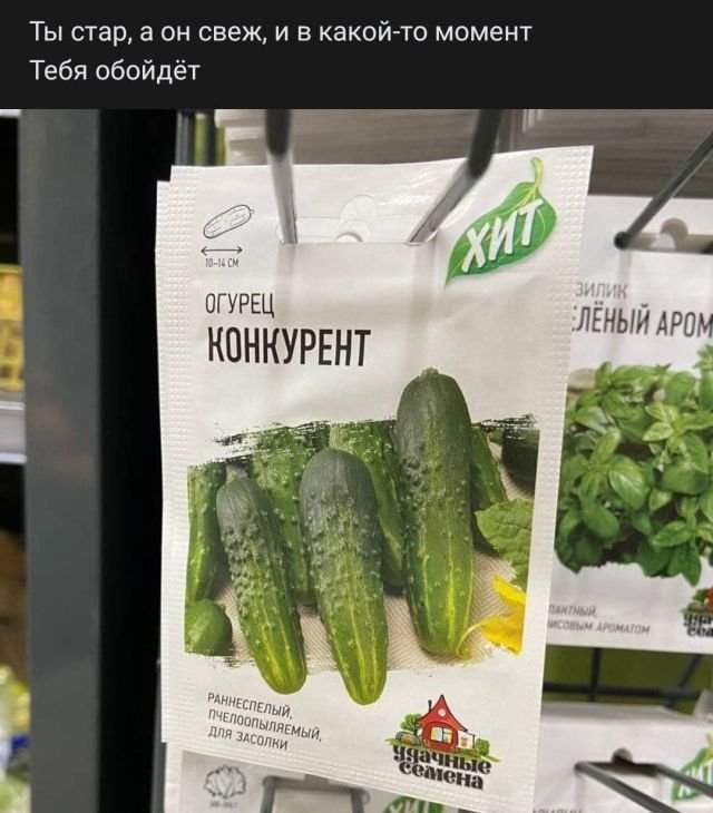 стих про огурец