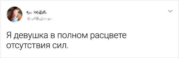 твит про силы твит про силы