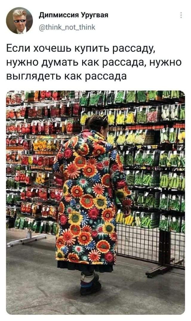 твит про рассаду