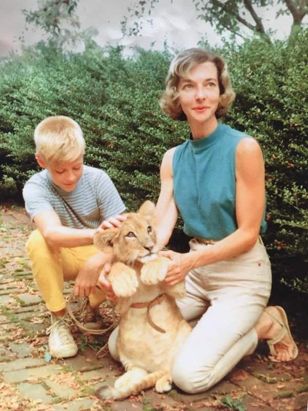 Отец и бабушка-ветеринар с их домашним львом, которого они растили 2 года