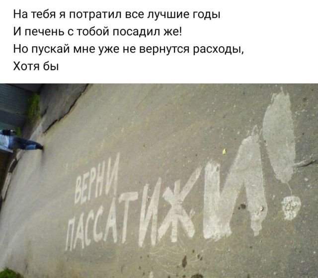 стих про пассатижи