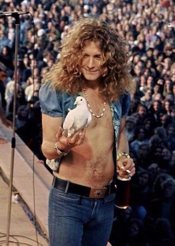 Роберт Плант из Led Zeppelin, держит голубку, которая села на его руку во время концерта в 1973 году.