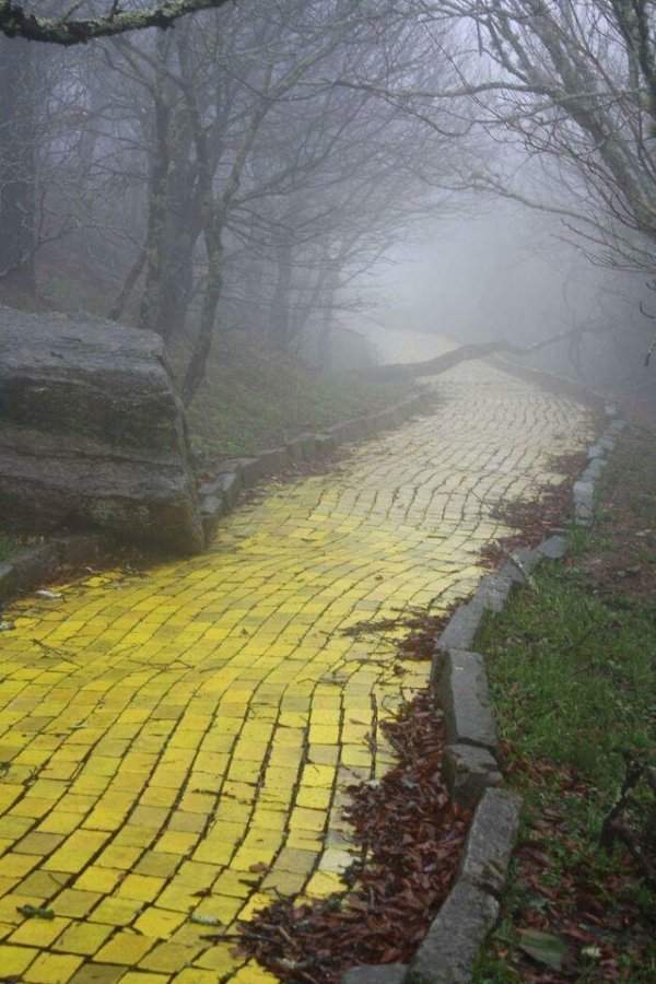 Заброшенная дорога из жёлтого кирпича в тематическом парке «Страна Оз» в Северной Каролине