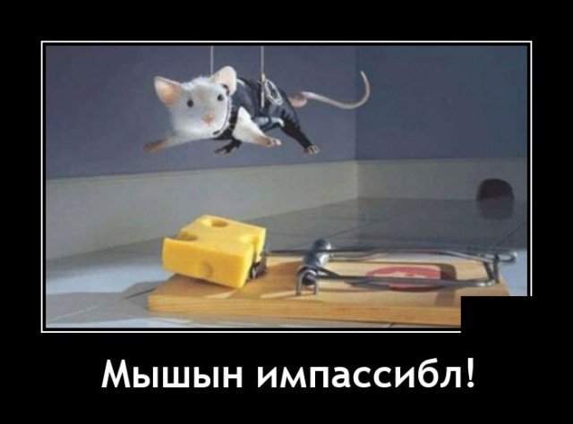 Демотиватор про мышь