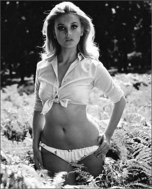 Барбара Буше — итальянская актриса, известная по фильму «Казино Рояль» 1967 года.