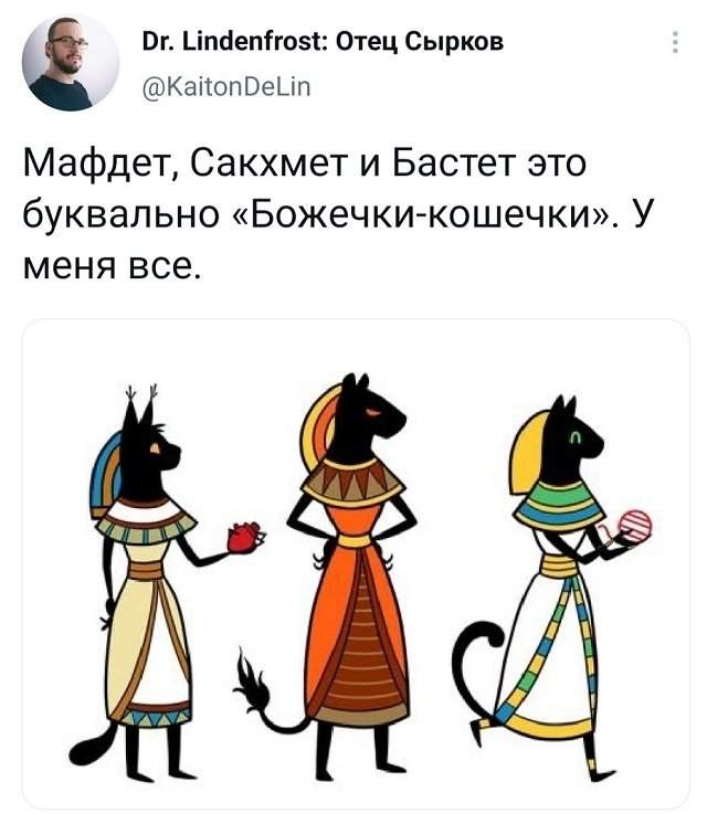 твит про кошечек твит про кошечек