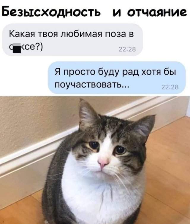 Мемы и приколы на &quot;щекотливую&quot; тему