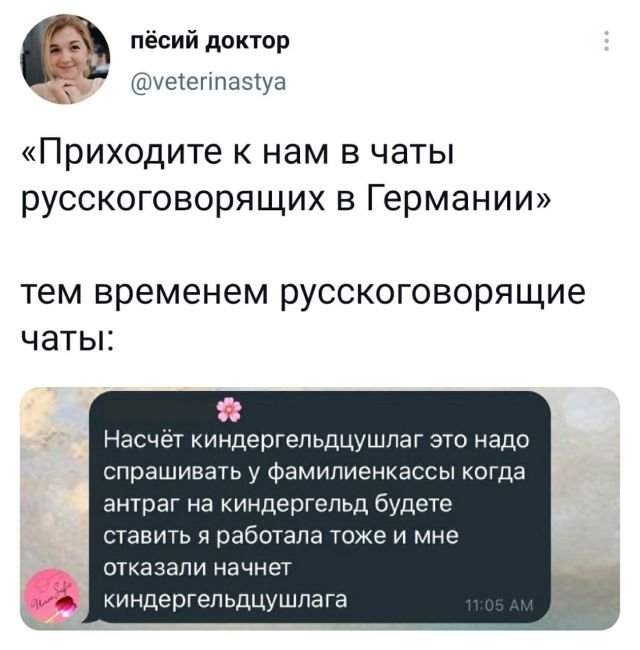 твит про германию