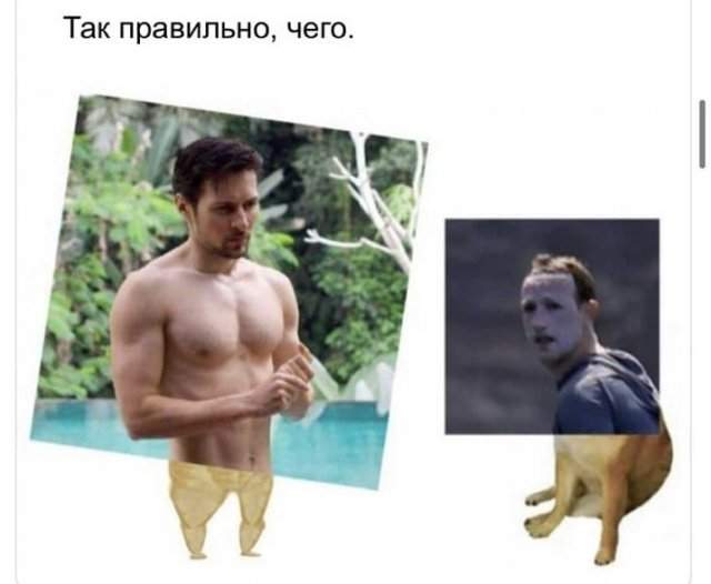 Павел Дуров впервые за три года опубликовал фото в Instagram: шутки и мемы от пользователей