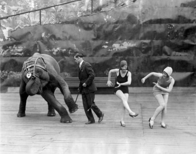 Цирковой слон танцует чарльстон. США, 1926 год