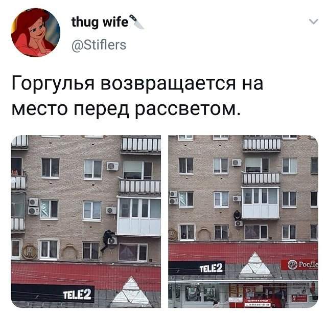 твит про горгулью твит про горгулью