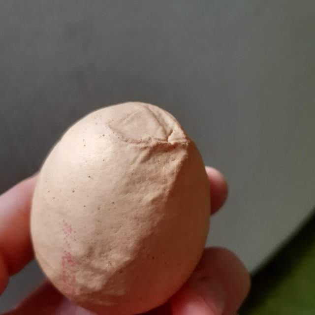 Так выглядит яйцо старой курицы